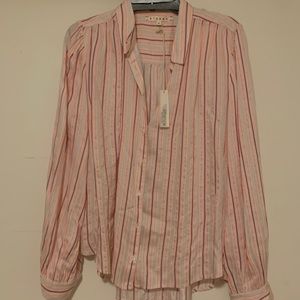NWT Xirena Button down in Cameo Stripe